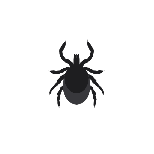 Silhouette of an insect with six legs and two antennae, resembling a tick, centered on a plain background. Ideal for those seeking tick control in Suffolk County NY, ensuring peace of mind in pest management.