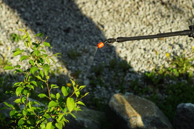 In Suffolk County NY, a garden plant is being sprayed with water or pesticide for pest control using a handheld sprayer. The nozzle releases a fine mist onto the green leaves, with gravel and rocks in the background partially in shadow.