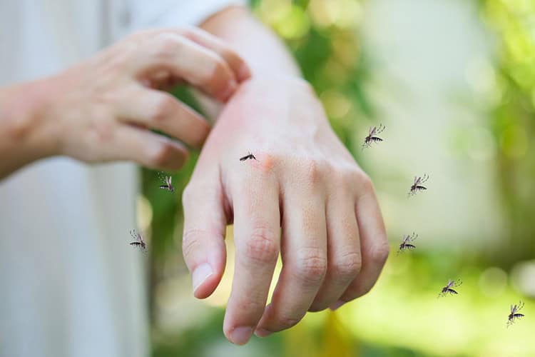 A hand scratching an itchy spot on the forearm, encircled by pesky mosquitoes. The blurred green foliage suggests an outdoor setting, highlighting the need for pest control in Suffolk County, NY.