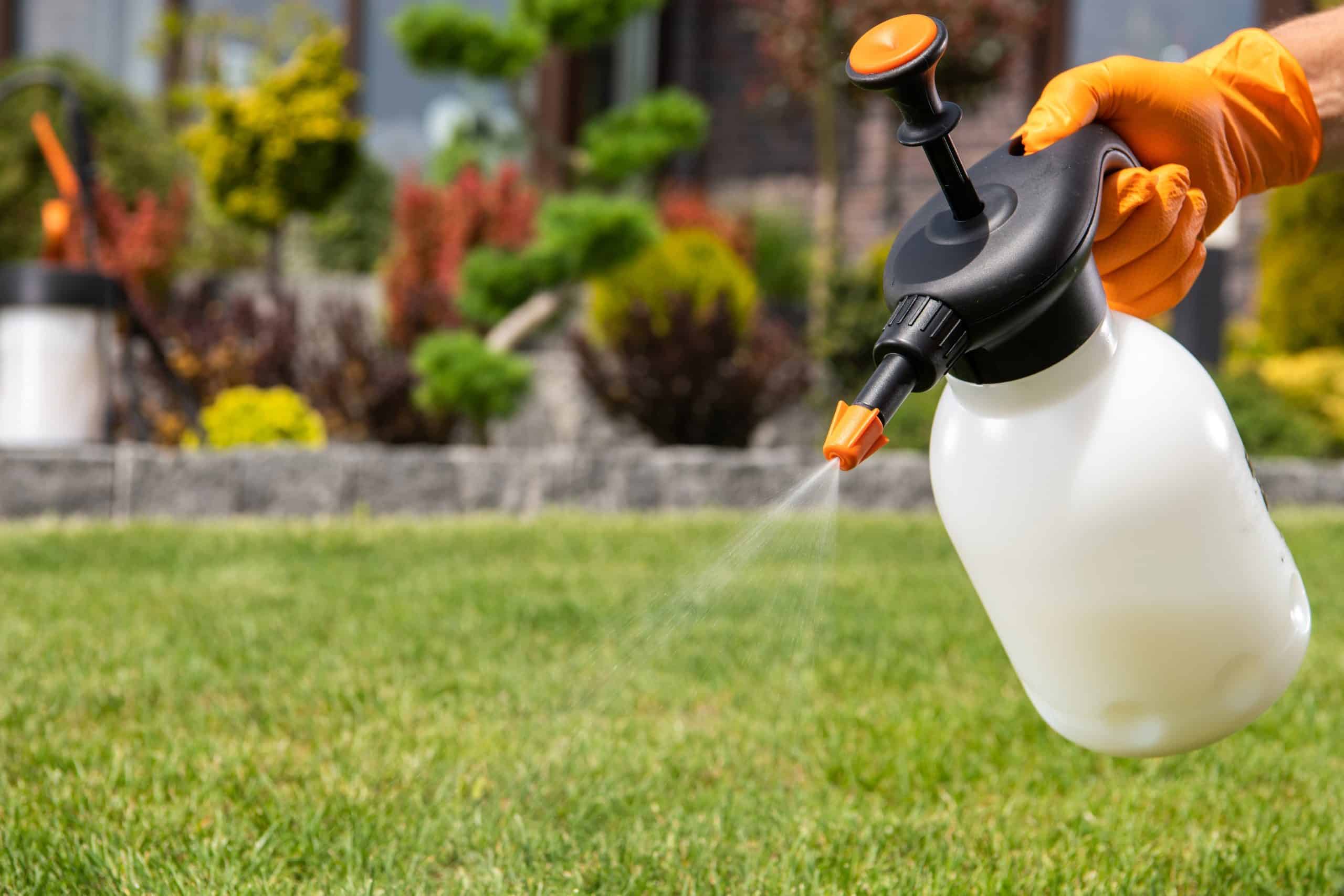 A hand in an orange glove holds a garden pump sprayer, applying liquid for pest control over a green lawn. In the background, a vibrant garden with colorful plants and bushes flourishes, showcasing effective pest control in Suffolk County, NY.