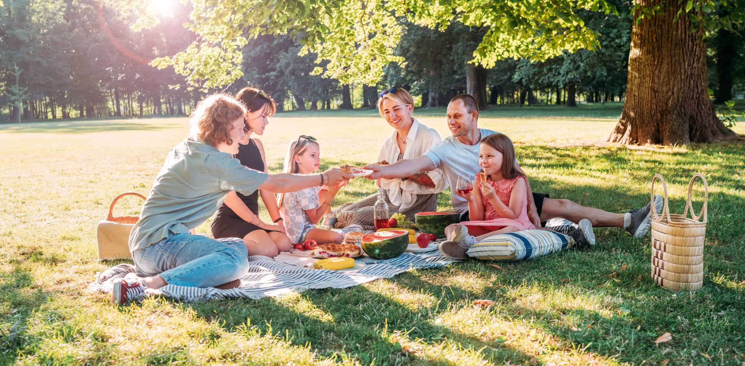 A group of six people, including children, enjoy a picnic on a grassy area under a tree. They are sitting on a blanket with baskets and food like watermelon and bread. Sunlight filters through the leaves, creating a warm, cheerful atmosphere in tick-controlled Suffolk County, NY.
