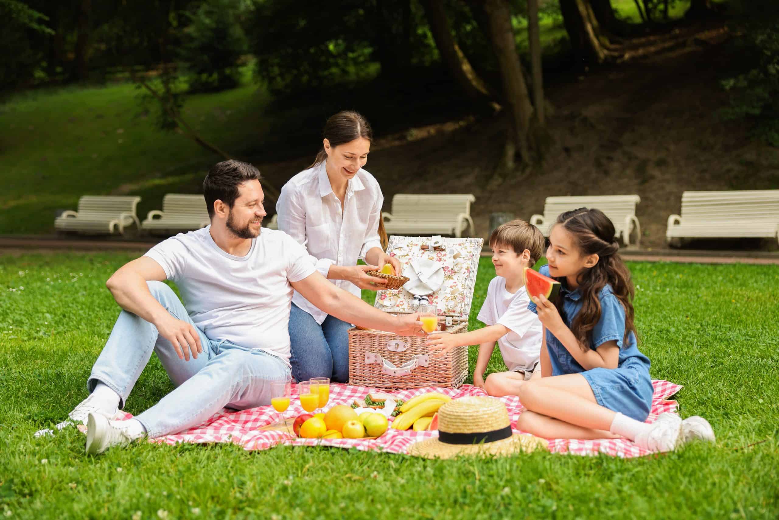 A family of four enjoys a picnic on a red-checkered blanket in a park, savoring fruit and juice. Green grass and trees set the scene, with white benches nearby. Thanks to tick control in Suffolk County NY, they can relax without worry.